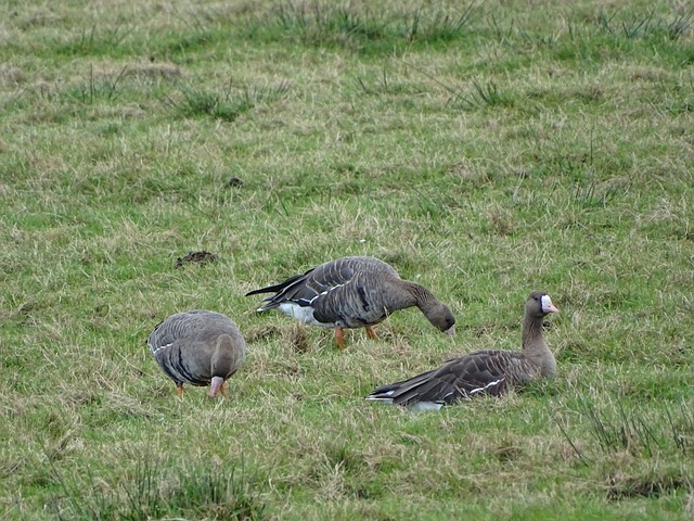 是临时过渡 是临时过渡