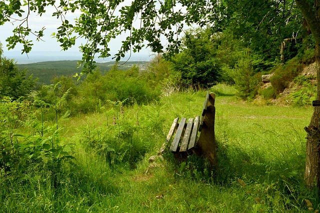 运动员们在 运动员们在