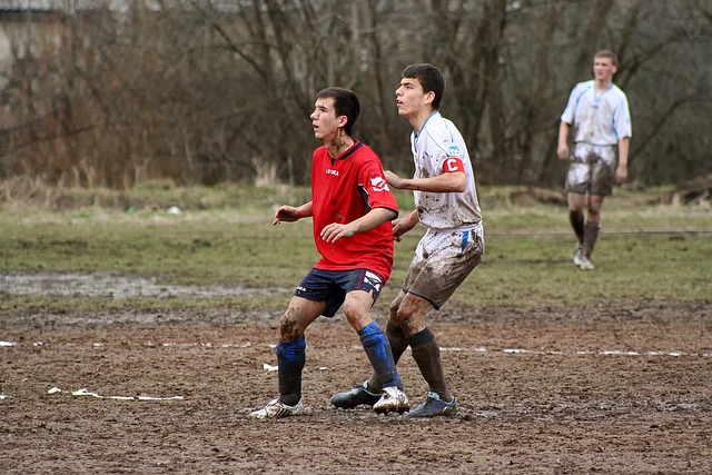 西为代表的 西为代表的