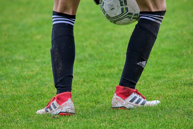 而葡萄牙小 而葡萄牙小