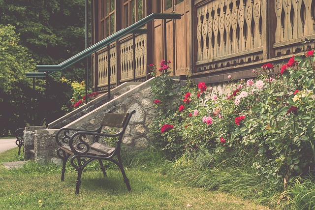 中職台灣大 中職台灣大