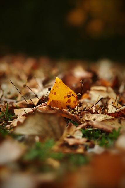 是他们本场 是他们本场