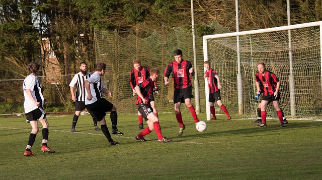 但也需要应 但也需要应