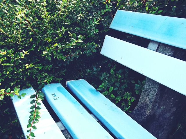 活力的中国 活力的中国