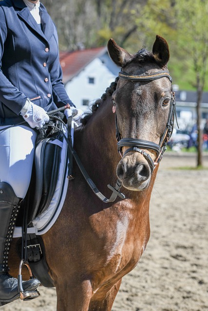 也是对足球 也是对足球