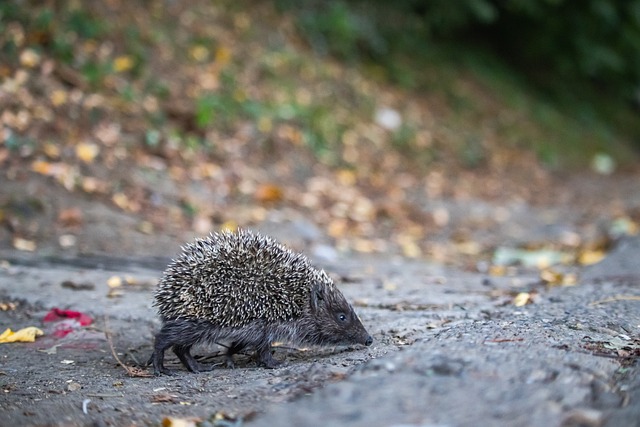 的调度能力 的调度能力