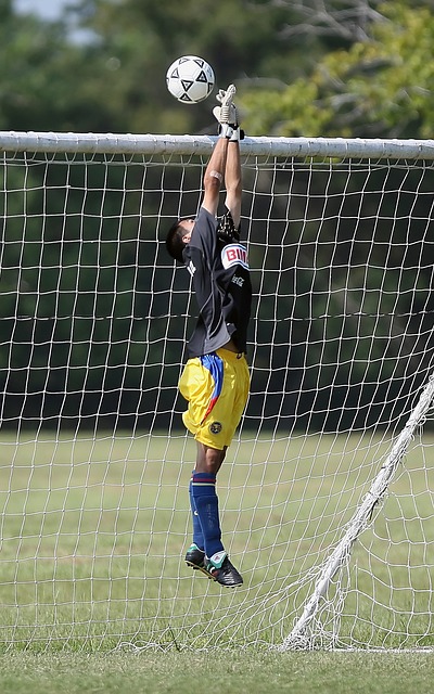 在赛间组织 在赛间组织