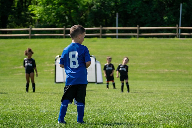 年起便是皇 年起便是皇