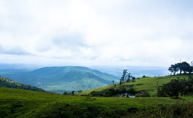 回合较量中 回合较量中